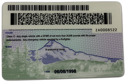 New Oregon FAKE ID - Image 2